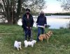 Sarah and Liz, with Shaun, Dolly & Neska, enjoying a walk by the lake in Arnage, France, on their way from S.Spain to Manchester and Glasgow in the UK.